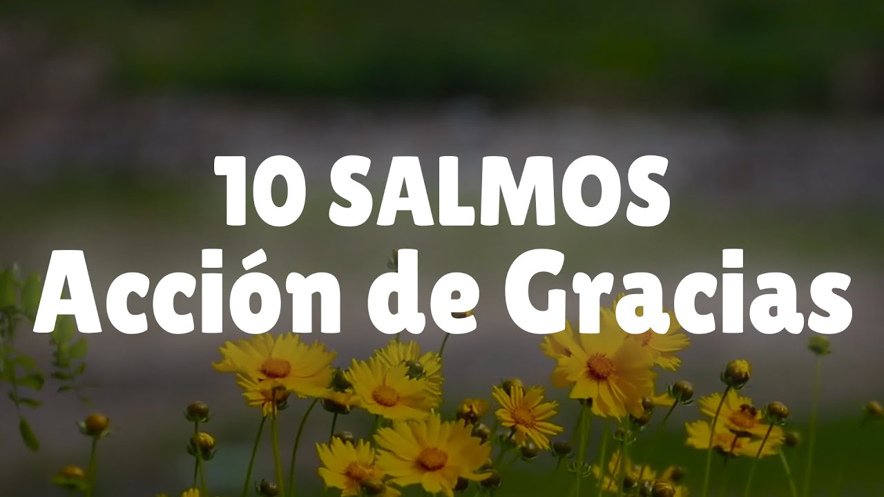 salmos de alabanza y gratitud a dios