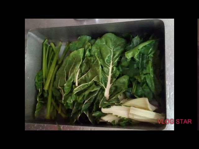 se pueden congelar las acelgas crudas