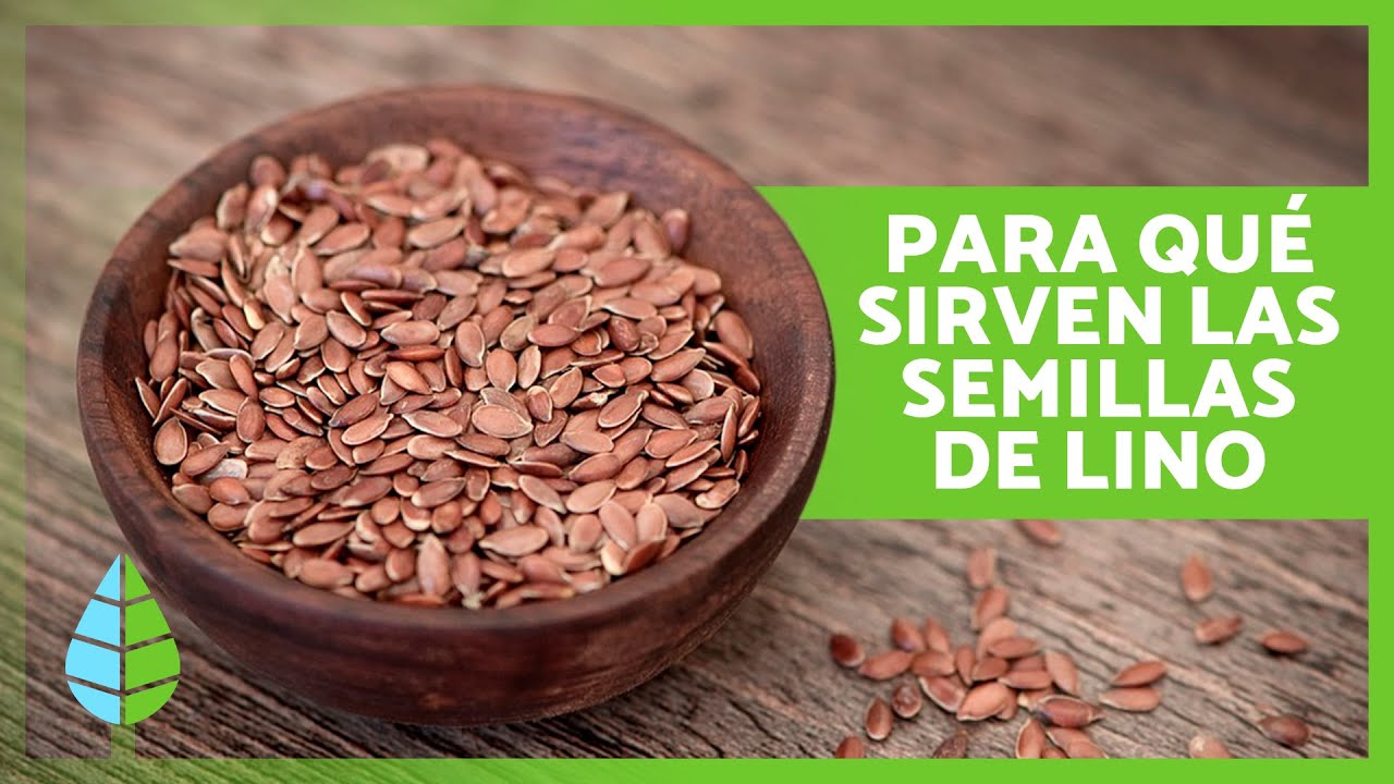 semilla de lino para el pelo
