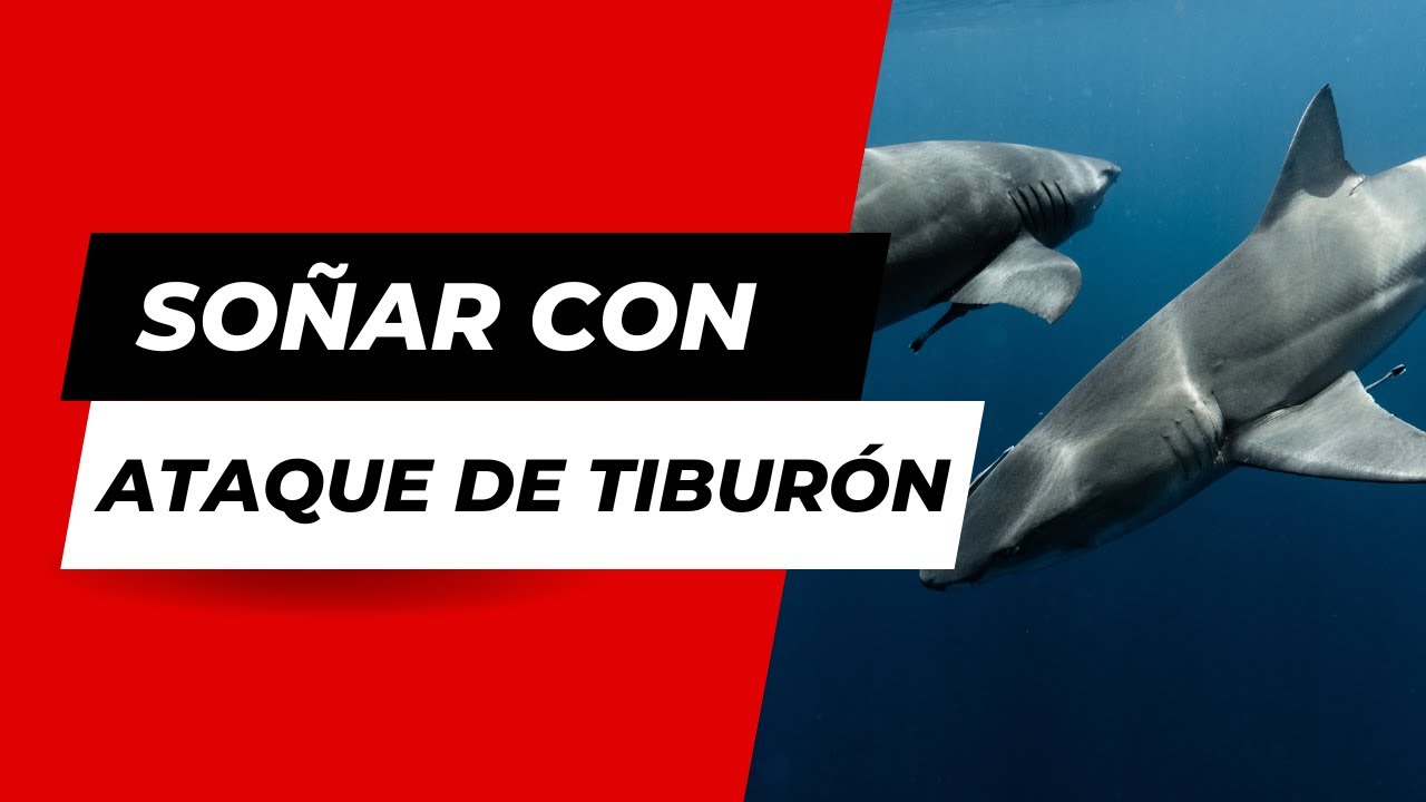 soñar con tiburones que atacan a otra persona