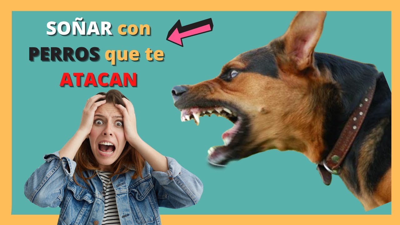 soñar q te ataca un perro