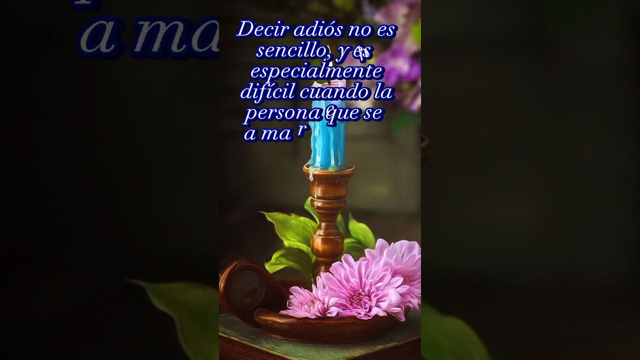 vuela alto bonitas despedida frases de luto