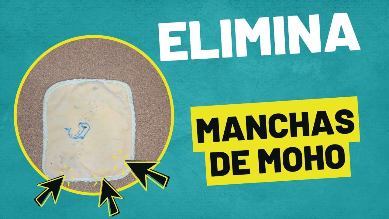 como eliminar el moho de la ropa