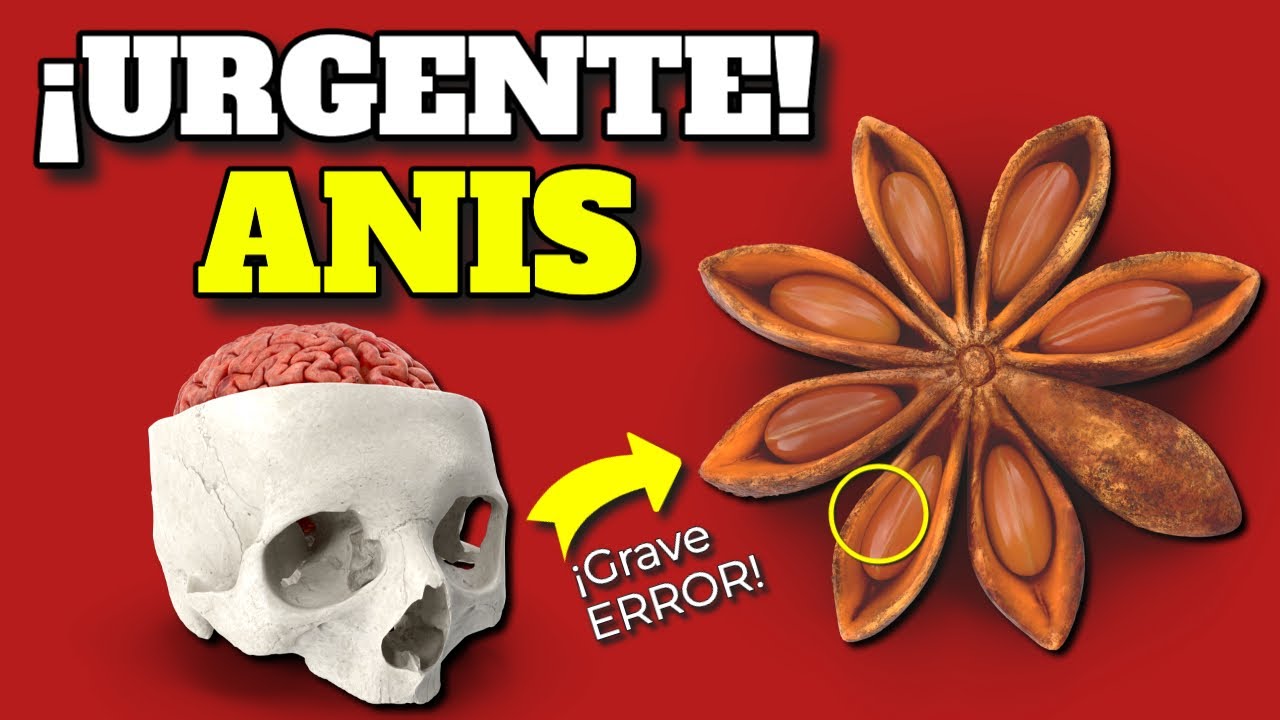 contraindicaciones de la manzanilla con anís