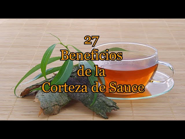corteza de sauce para que sirve