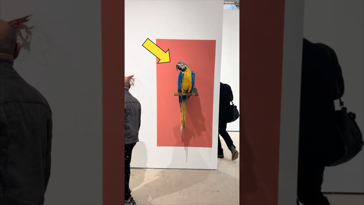 cuales son las 9 artes del mundo