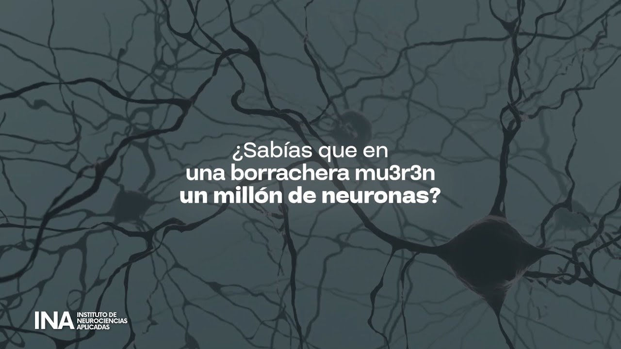 cuantas neuronas mueren en una borrachera