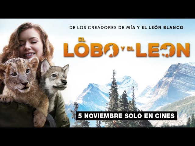 el lobo y el león historia real