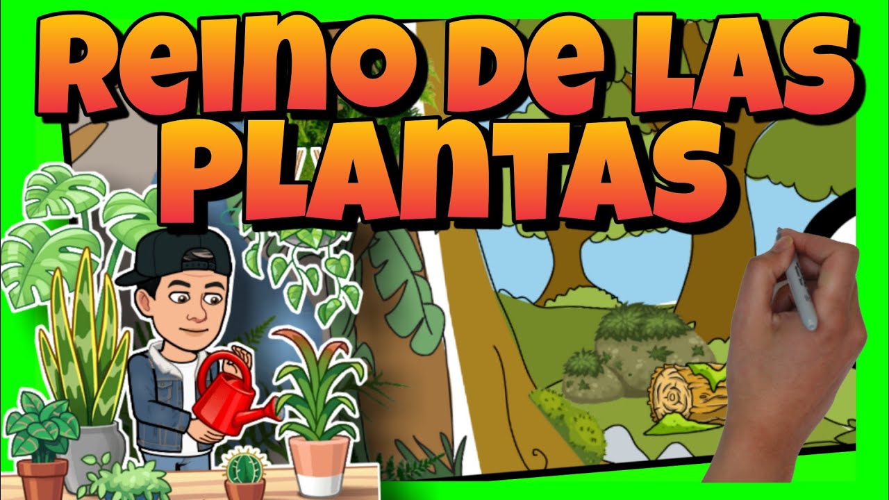 el reino de las plantas 1 eso resumen