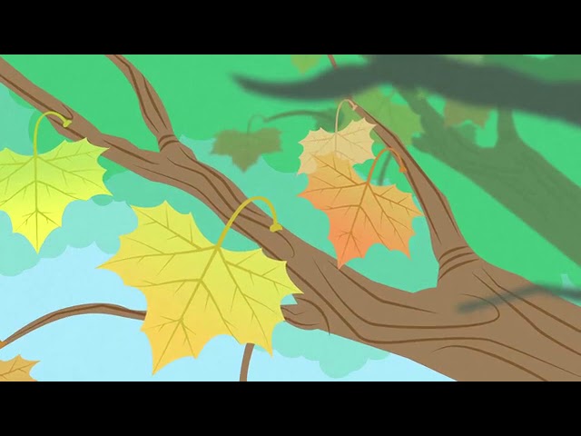 el roble es de hoja caduca o perenne