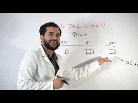 en que fase del sueño es mejor despertarse