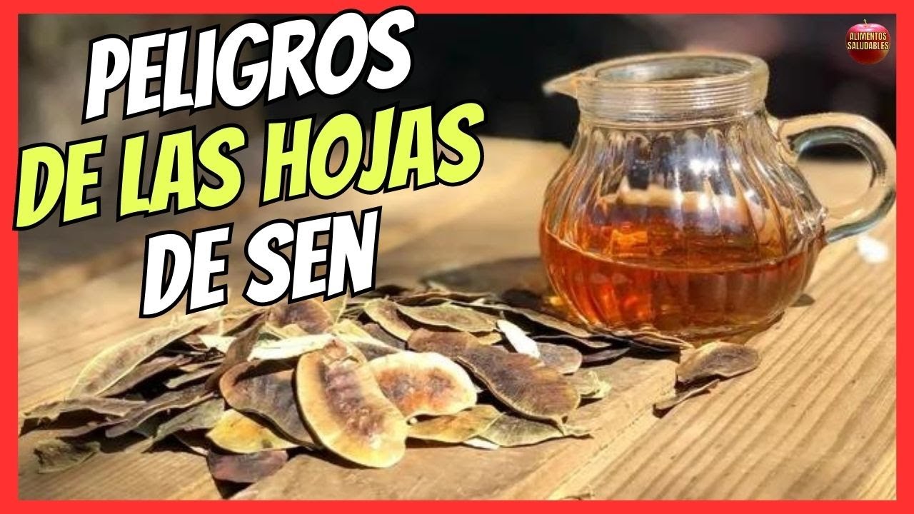 hojas de sen y cola de caballo