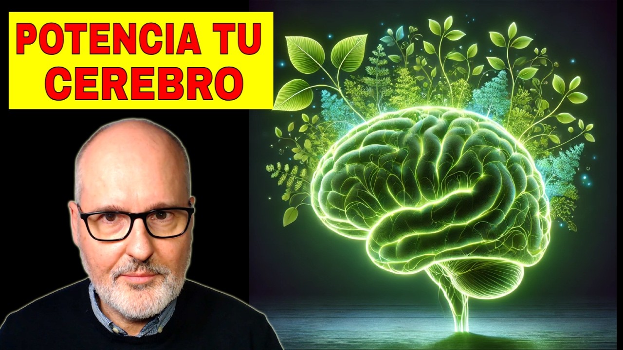 infusiones para la memoria y concentración