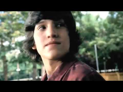 la bondad es el punto más elevado de la inteligencia