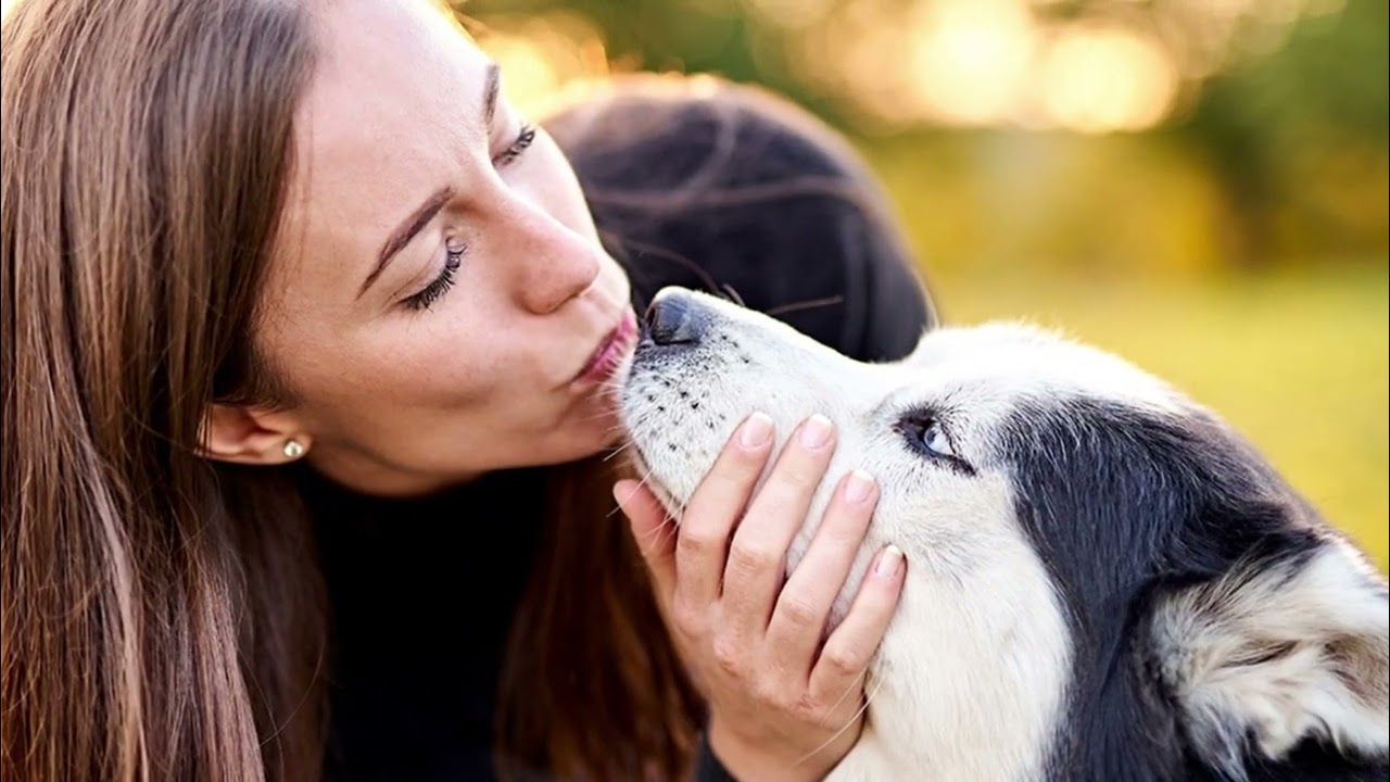 los perros saben que los queremos