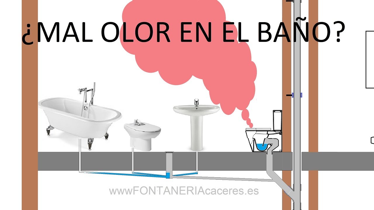 mal olor en el baño soluciones