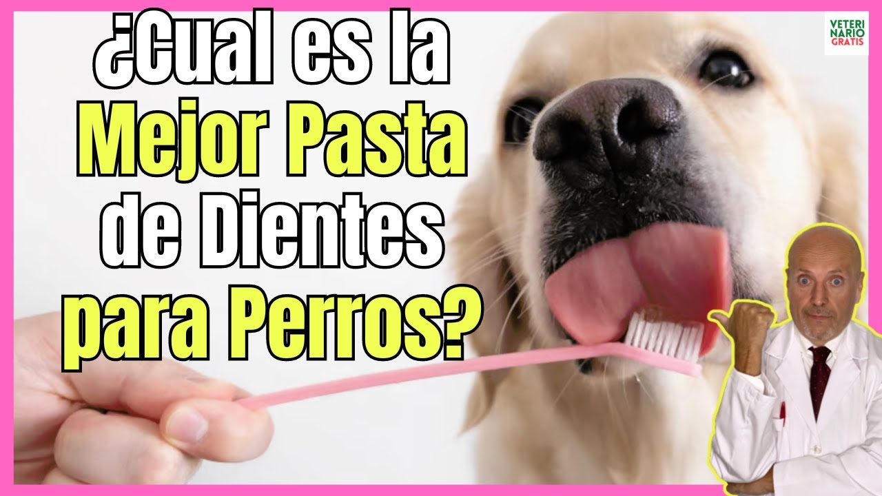 mejor pasta de dientes para perros