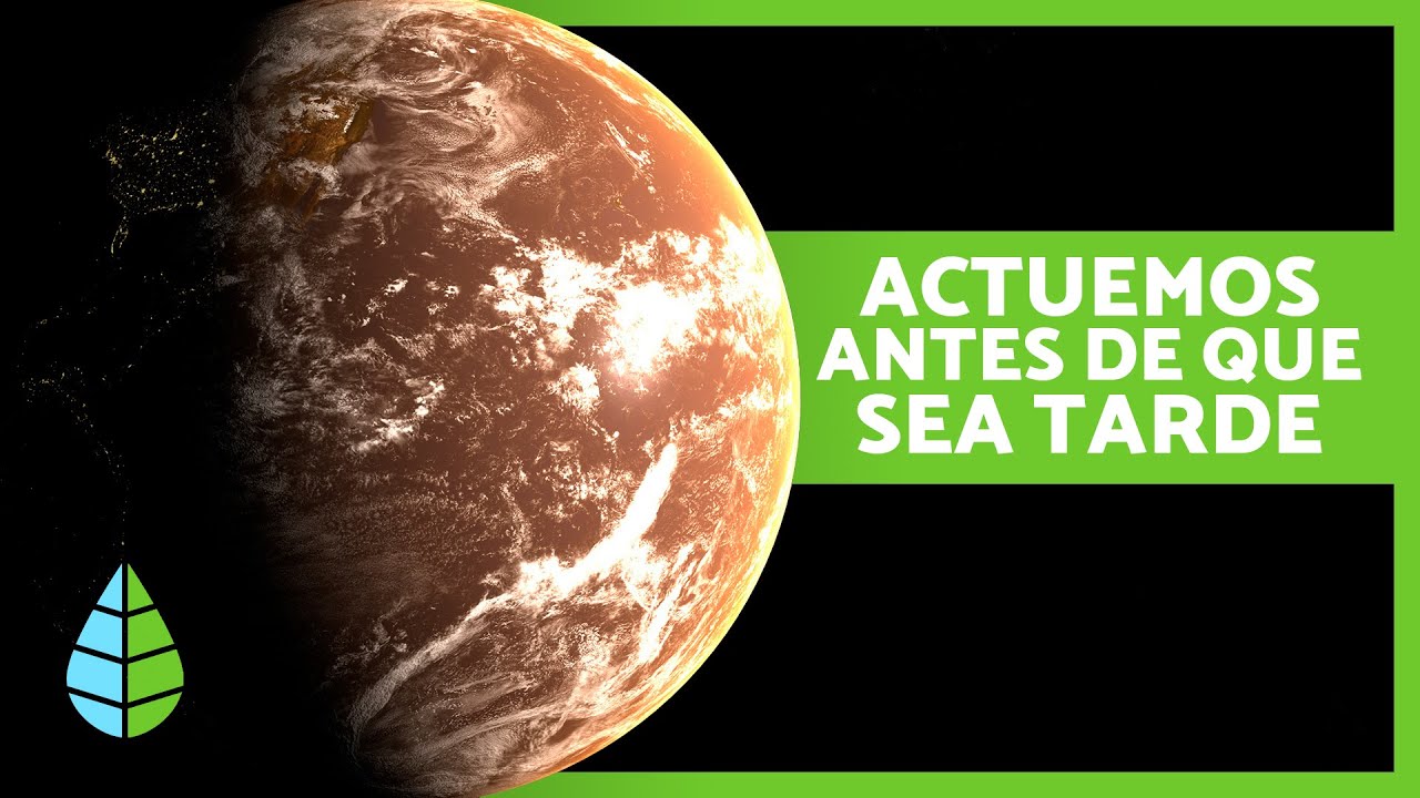 naturaleza calidad y condición de las cosas