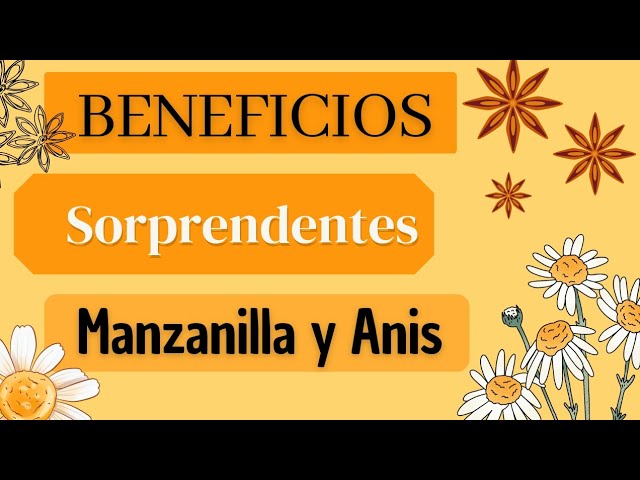 para que es bueno la manzanilla con anis