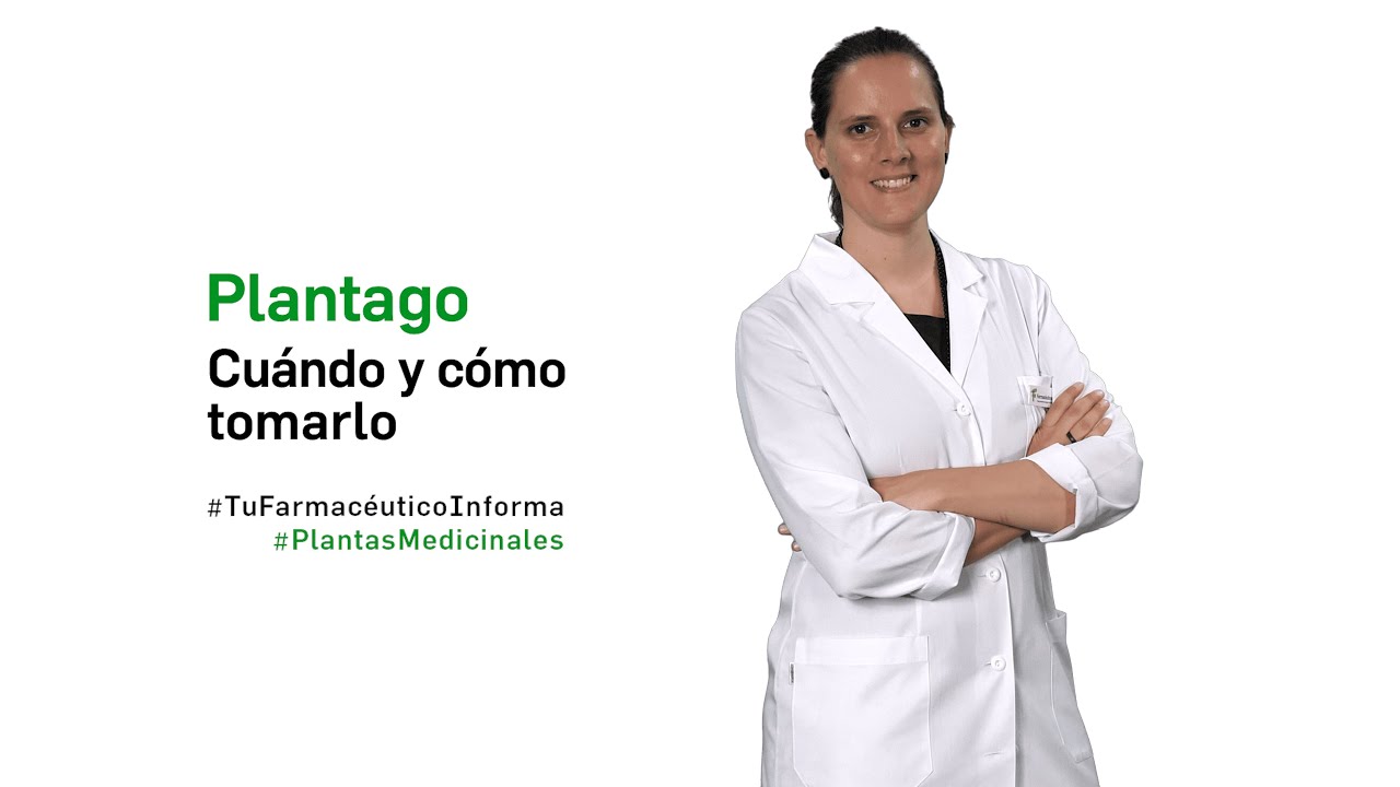 para que sirve el plantago ovata