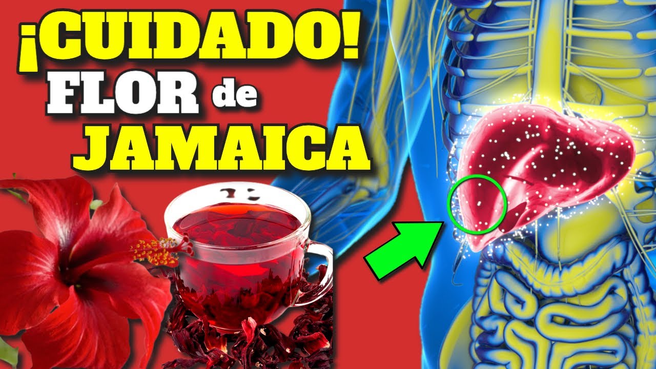 para que sirve la infusion de hibisco