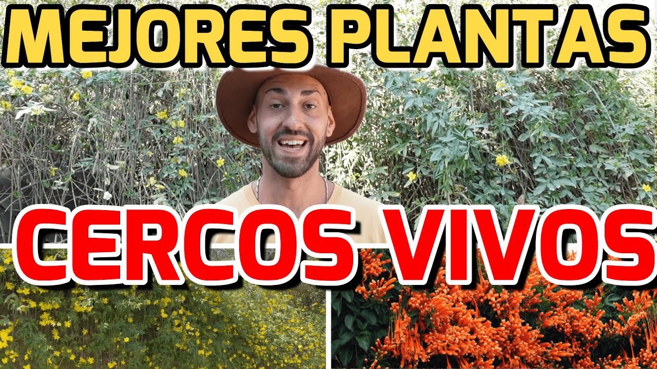 plantas para cierre de crecimiento rápido