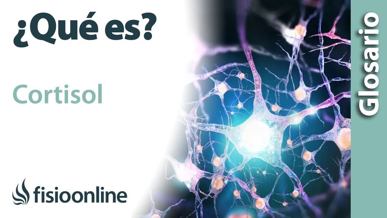 que es el cortisol alto en mujeres