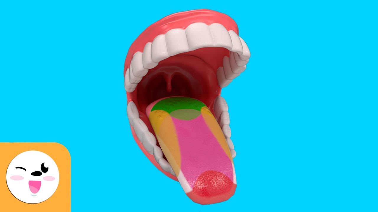 que es la lengua y para que sirve