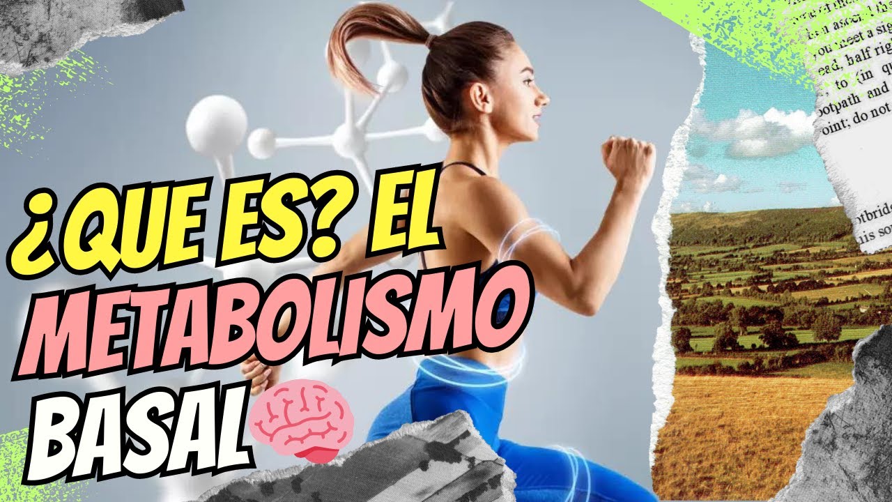 que es la tasa de metabolismo basal