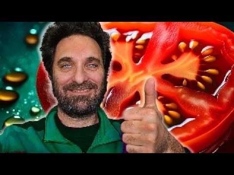 que tipo de alimento es el tomate