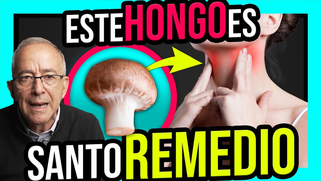 que tipo de nutricion tienen los hongos