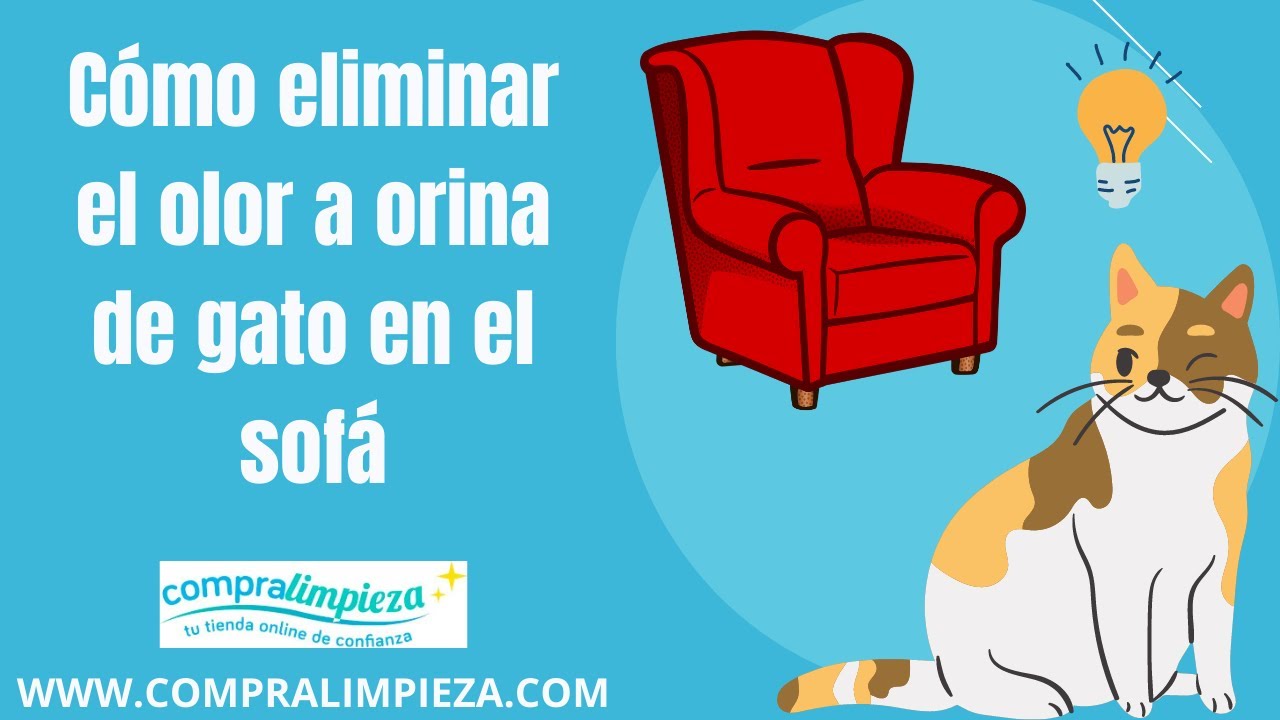 quitar olor a pipi del sofà
