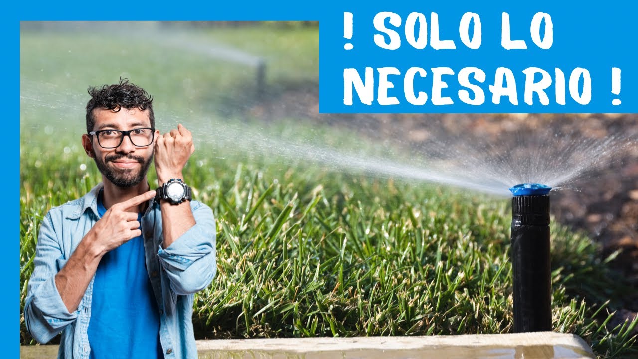 regar después de cortar el césped