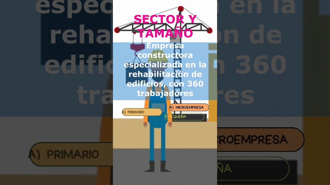 sector de actividad de una empresa