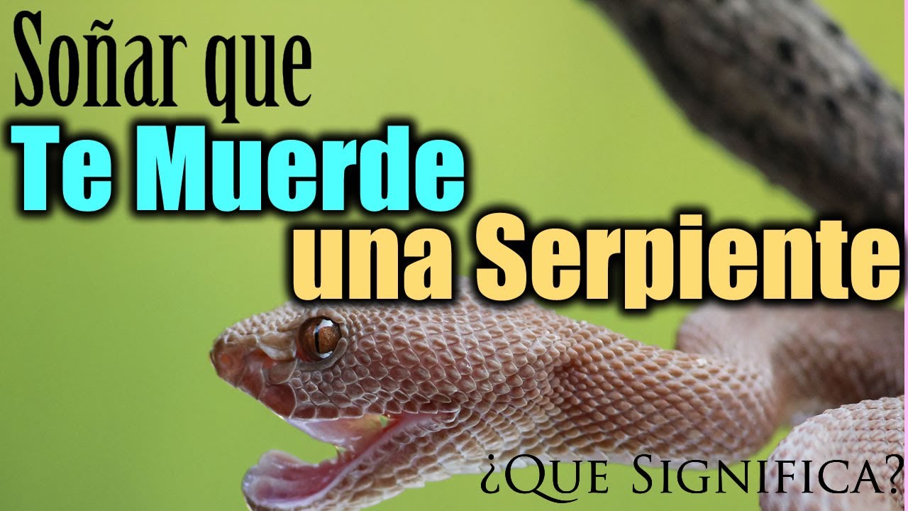 soñe que me muerde una serpiente