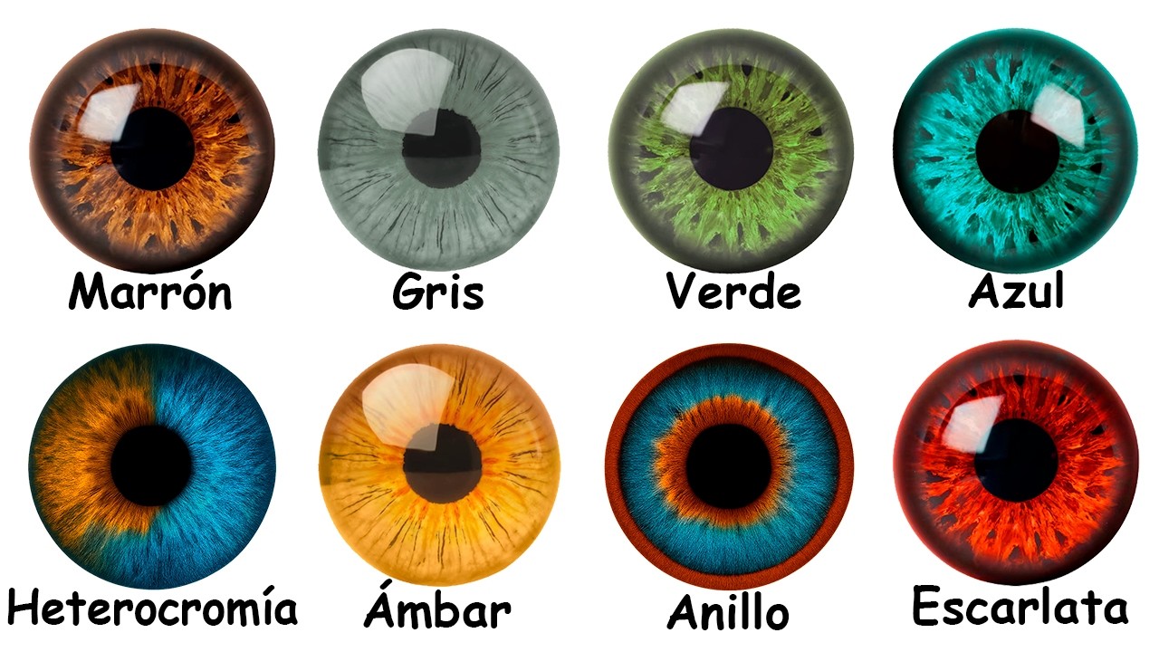 todos los colores de los ojos