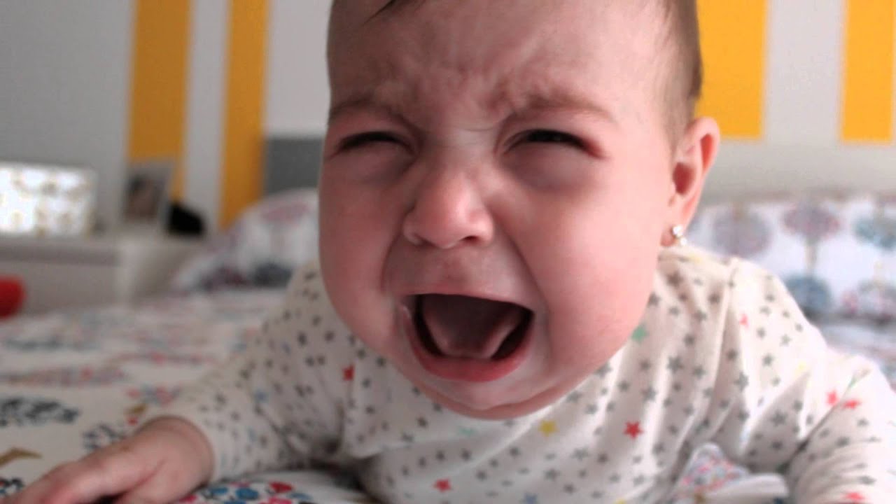 9 meses dentro 9 meses fuera