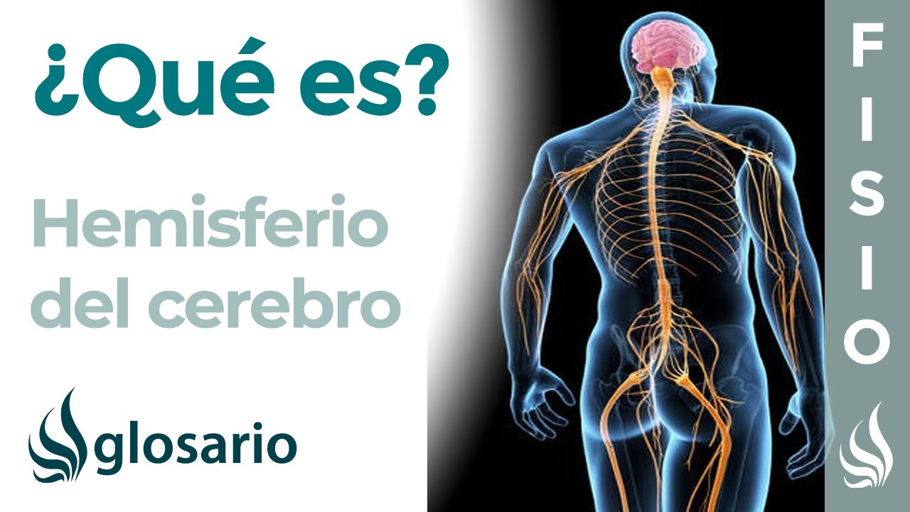 a que afecta el lado derecho del cerebro