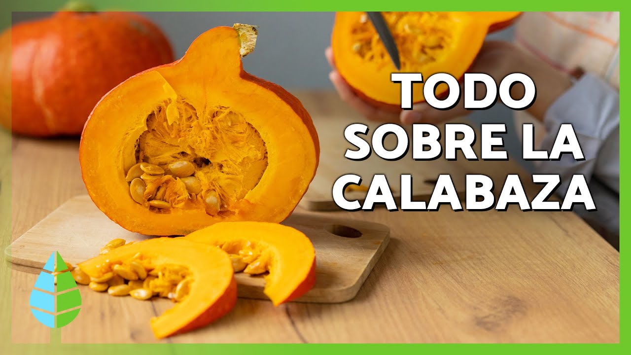 beneficios de la calabaza para la salud