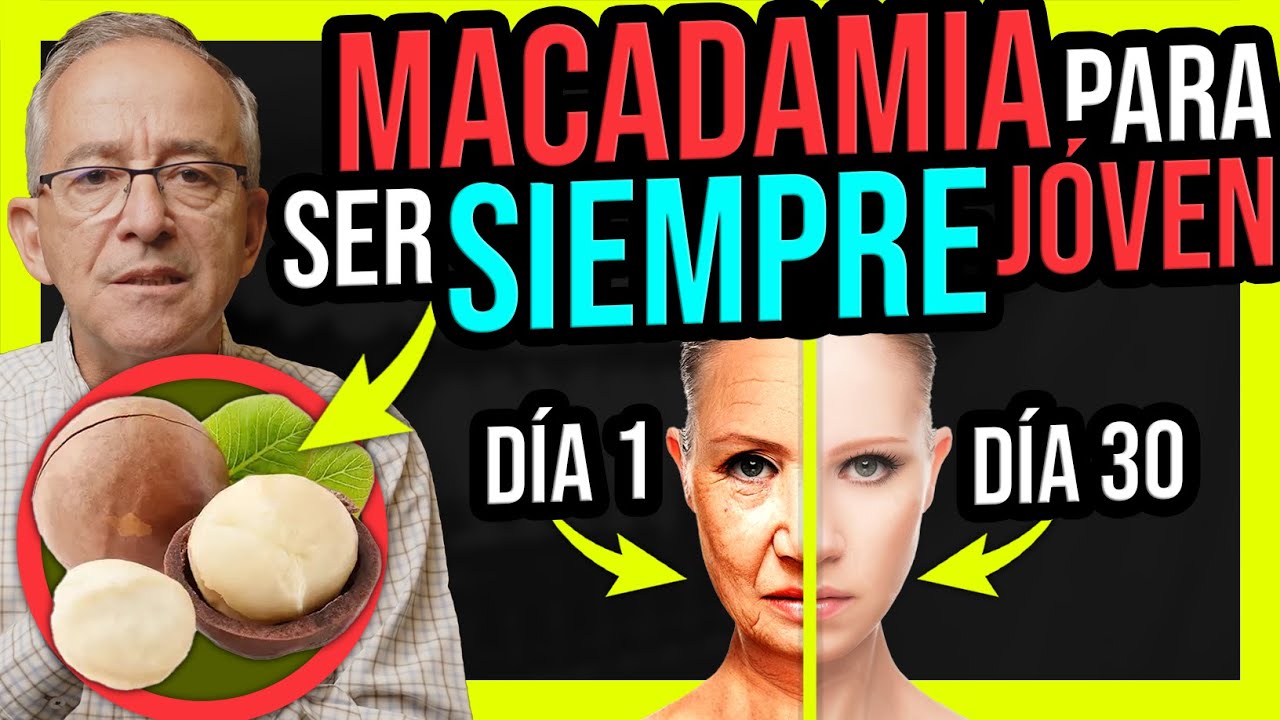 beneficios de la nuez de macadamia