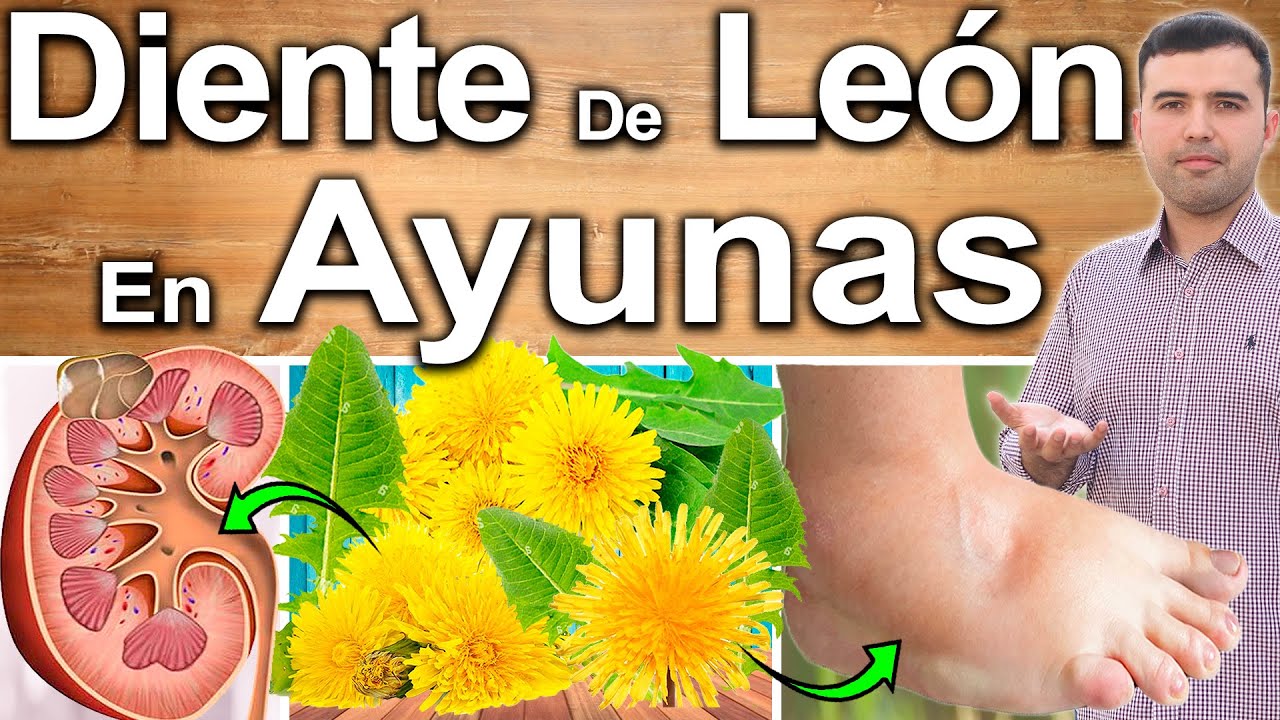 cola de caballo diente de leon