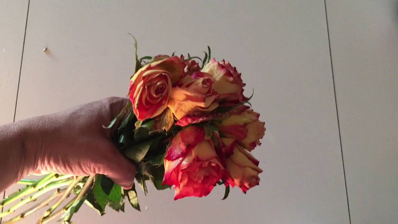 como conservar una rosa con laca