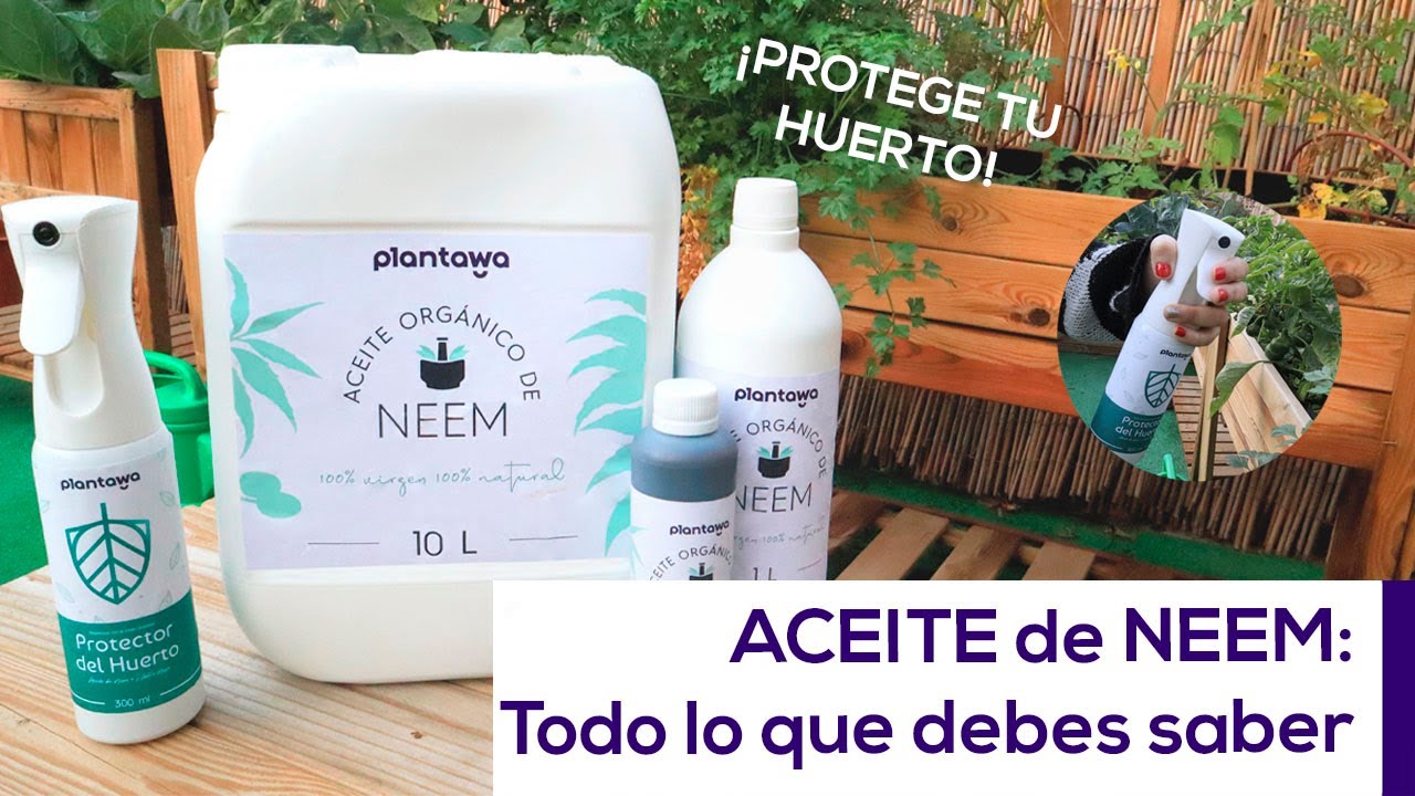 dosis de aceite de neem por litro de agua