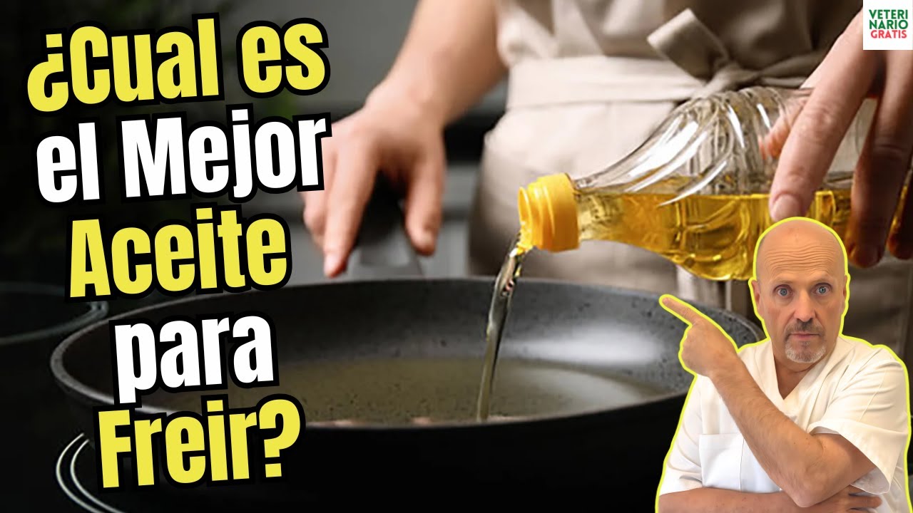 el mejor aceite de girasol alto oleico
