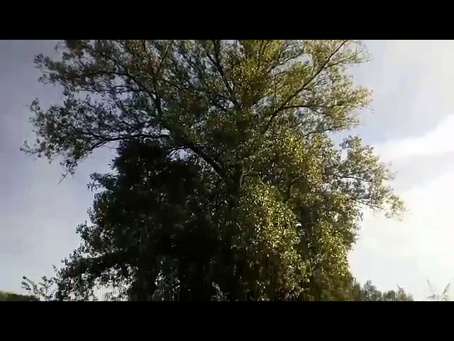 frases sobre el camino de la vida