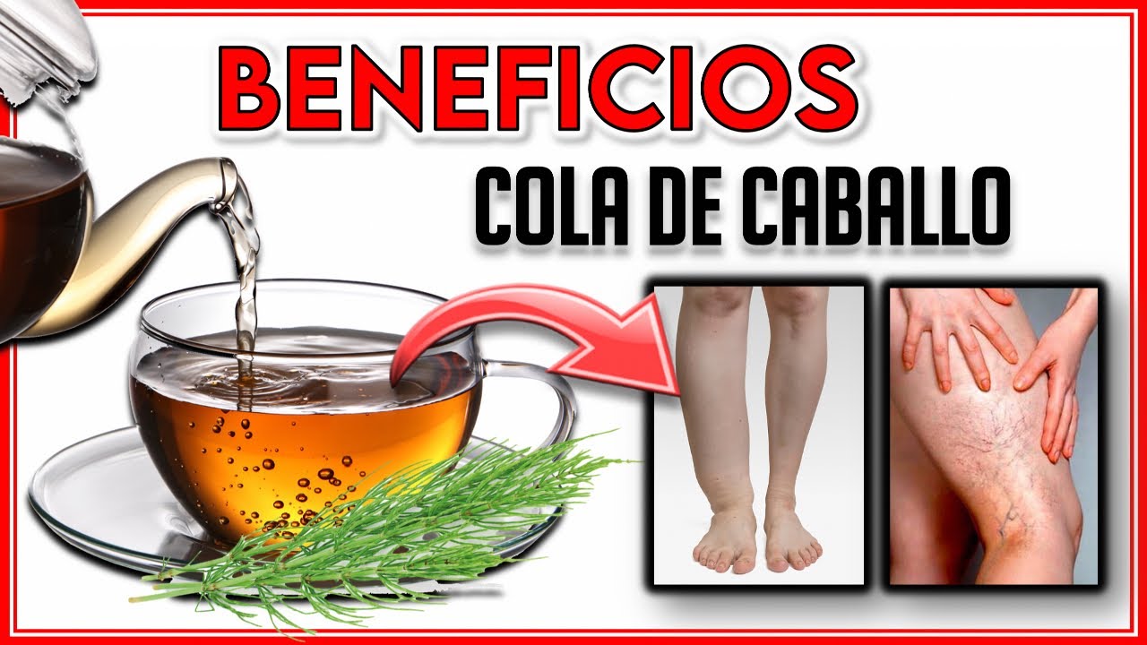 infusión de cola de caballo beneficios