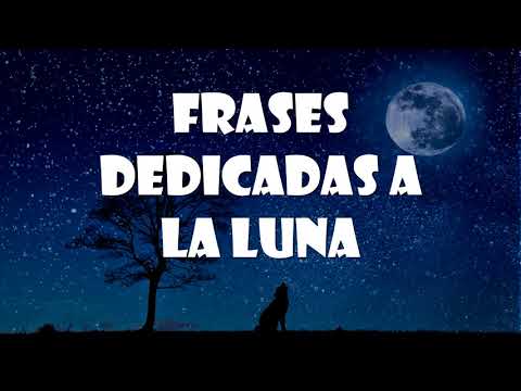 las mejores frases de la luna llena