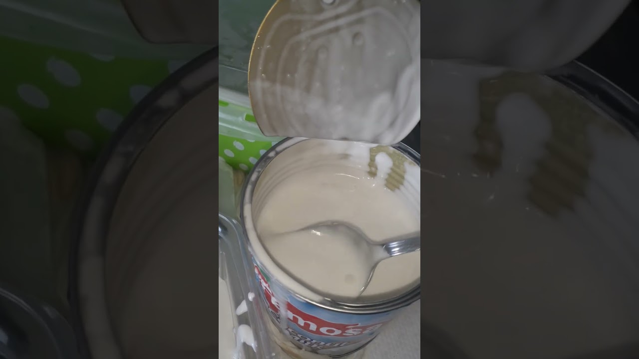 leche de coco para cocinar mercadona