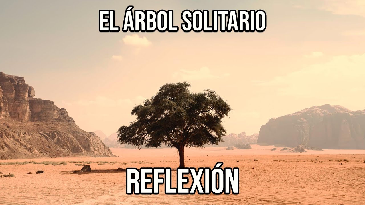motivadoras frases arbol de la vida
