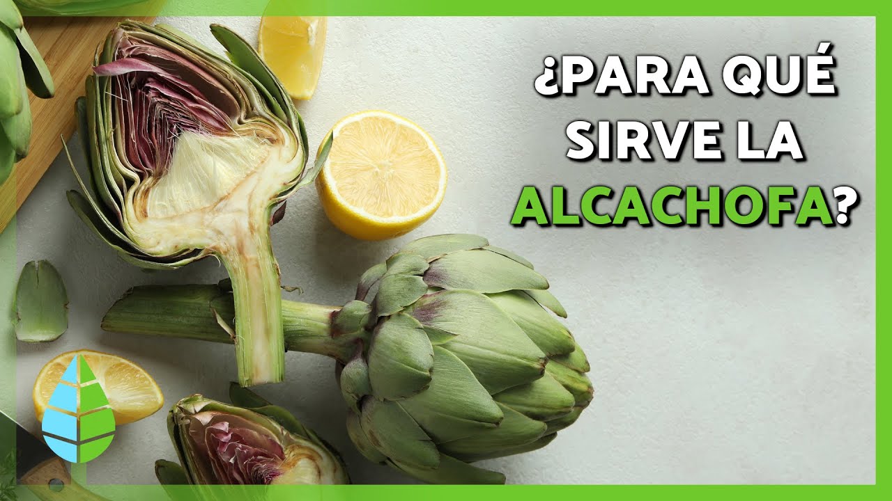 para q es buena la alcachofa